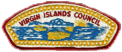Virgin Islands Council CSP  S-1