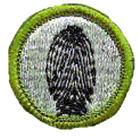Merit Badge - Fingerprinting (1972 – 2002) (Clear)