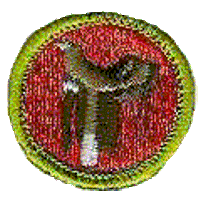 Merit Badge - Horsemanship (1969 – 1971)