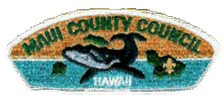 CSP - Maui County Council S2b