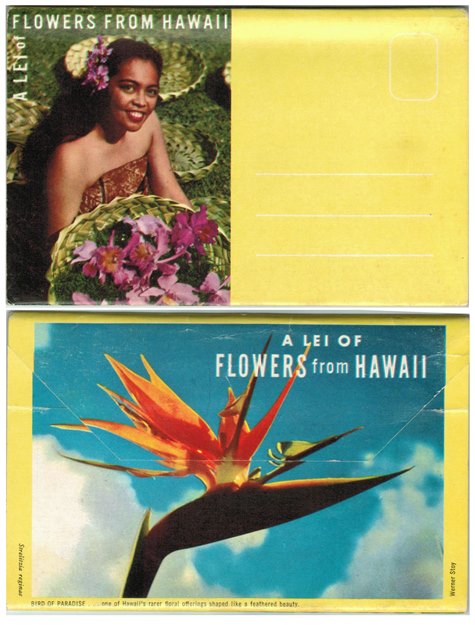 Postcard - Flowers from Hawaii
