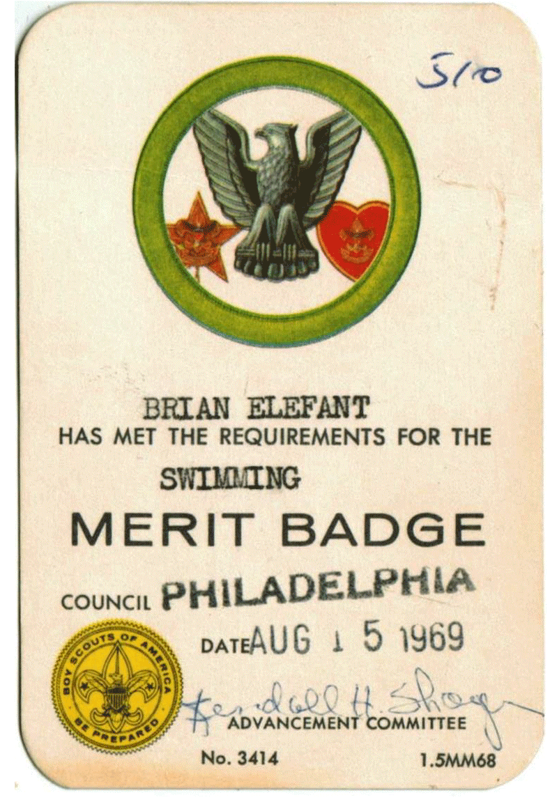 Merit Badge Card - Swimming