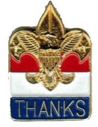 Boy Scout  "THANKS" Pin