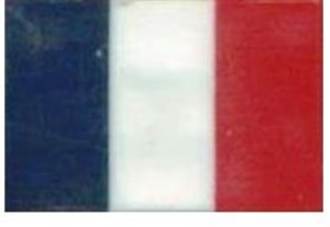 Flag of France Hat Pin