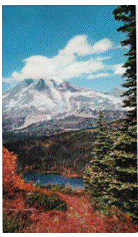 Postcard - Mt Rainier - Washington