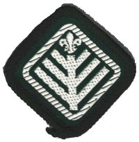 Scout Patch - Great Britain