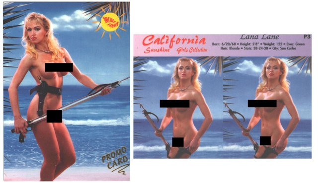 Promo Card - California Sunshine Girls