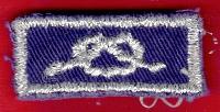 District Award of Merit Knot (Cloth Backing)