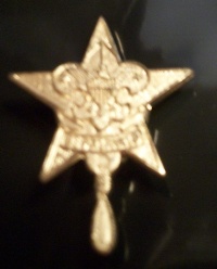 "Mother's" (Parents) Star Pin (Large #1)