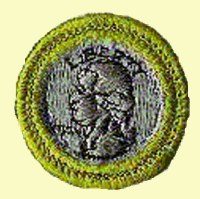 Merit Badge - Coin Collecting (1972 - 2002) (Blue)