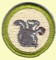 Merit Badge - Mammal Study (2002 - Present)