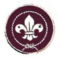 Hat Pin - World Scouting