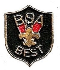 Hat Pin - BSA BEST