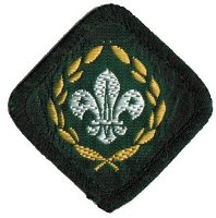 Great Britain - Scout Patch