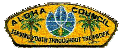 CSP - Aloha Area Council S-1a