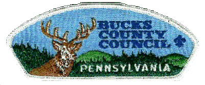 CSP - Bucks County Council Cloth Backing T3
