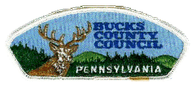 Bucks County Council CSP  T-1 - ERROR PATCH