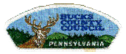 Bucks County Council CSP  T-1 - ERROR PATCH