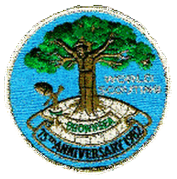 World Scouting 75th Anniversary Patch #1