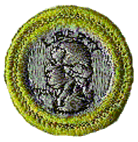 Merit Badge - Coin Collecting (1972 - 2002) (Clear)