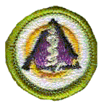 Merit Badge - Dentistry (1975 – 1993)