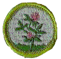 Merit Badge - Forage Crops (1961 – 1971)