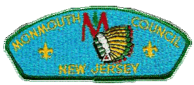 CSP - Monmouth Council S1a