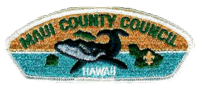 CSP - Maui County Council S2b