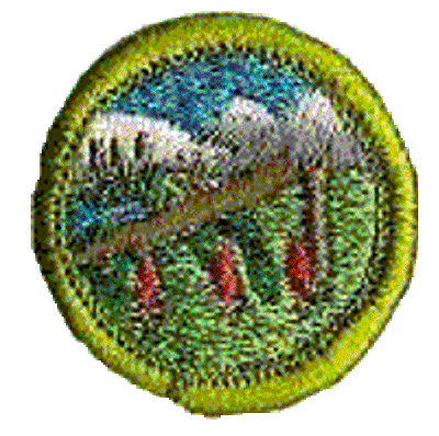 Merit Badge - Wilderness Survival (1973 – 2002) (White)