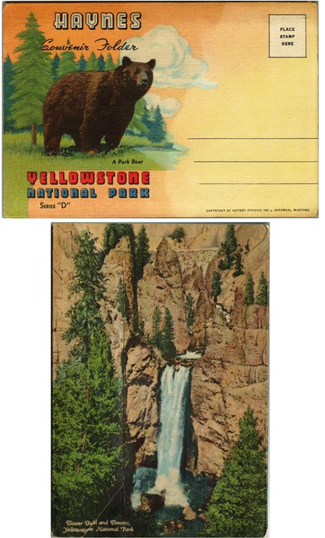 Postcard - Yellowstone National Park - Wyoming