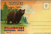 Postcard - Yellowstone National Park - Wyoming