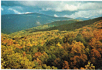 Postcard - Park Overview - Shenandoah National Park