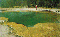 Postcard - Emerald Pool - Yellowstone National Park