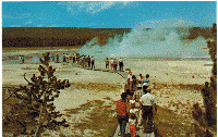 Postcard - Clepsydra Geyser - Yellowstone National Park