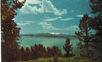 Postcard - Yellowstone Lake - Yellowstone National Park