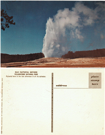 Postcard - Old Faithful Geyser - Yellowstone National Park
