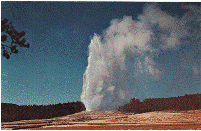 Postcard - Old Faithful Geyser - Yellowstone National Park