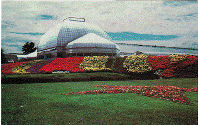 Postcard - Conservatory & Greenhouse	Schwenksville, PA