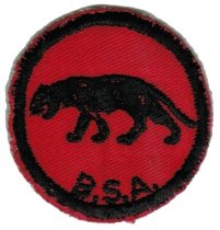 Panther Patrol Patch