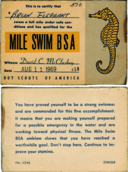 Mile Swim Card (Laminated)