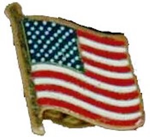 United States Flag Hat Pin