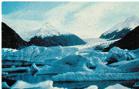 Postcard - Portage Glacier - Alaska