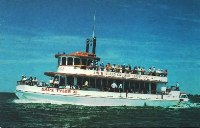 Postcard - Capt Tyler II	Tour Boat	 - Crisfield, MD