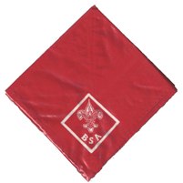 Neckerchief 1965 Standard Issue