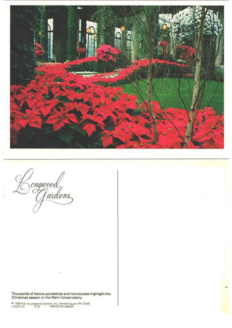 Postcard - Longwood Gardens Kennett Square, PA - #2