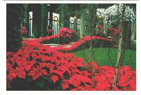 Postcard - Longwood Gardens Kennett Square, PA - #2