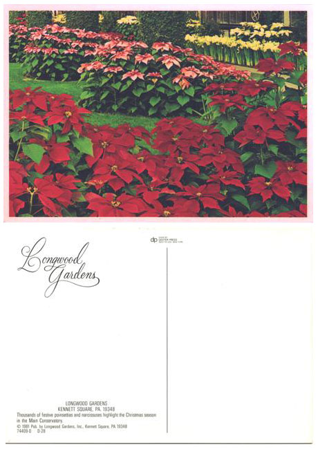 Postcard - Christmas at Longwood Gardens Kennett Square, PA