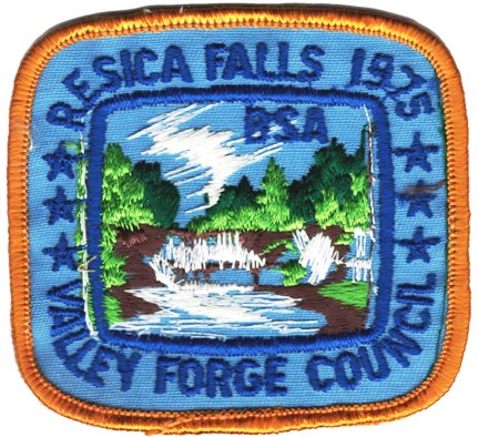 Resica Falls Camp Patch