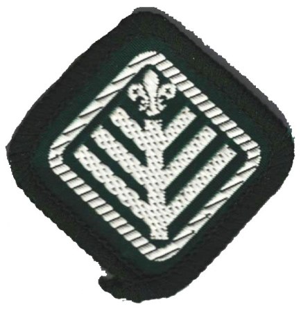 Scout Patch - Great Britain