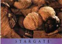 Insert Card - Stargate SG-1